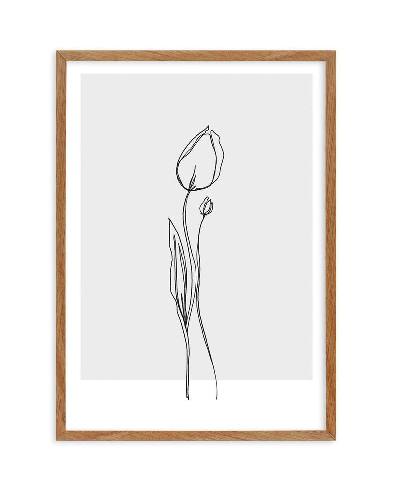 Tulip II | Illustration Art Print-PRINT-Olive et Oriel-Olive et Oriel-50x70 cm | 19.6" x 27.5"-Walnut-With White Border-Buy-Australian-Art-Prints-Online-with-Olive-et-Oriel-Your-Artwork-Specialists-Austrailia-Decorate-With-Coastal-Photo-Wall-Art-Prints-From-Our-Beach-House-Artwork-Collection-Fine-Poster-and-Framed-Artwork
