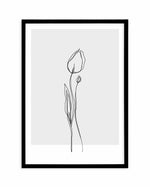 Tulip II | Illustration Art Print-PRINT-Olive et Oriel-Olive et Oriel-A5 | 5.8" x 8.3" | 14.8 x 21cm-Black-With White Border-Buy-Australian-Art-Prints-Online-with-Olive-et-Oriel-Your-Artwork-Specialists-Austrailia-Decorate-With-Coastal-Photo-Wall-Art-Prints-From-Our-Beach-House-Artwork-Collection-Fine-Poster-and-Framed-Artwork
