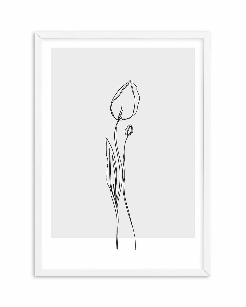 Tulip II | Illustration Art Print-PRINT-Olive et Oriel-Olive et Oriel-A5 | 5.8" x 8.3" | 14.8 x 21cm-White-With White Border-Buy-Australian-Art-Prints-Online-with-Olive-et-Oriel-Your-Artwork-Specialists-Austrailia-Decorate-With-Coastal-Photo-Wall-Art-Prints-From-Our-Beach-House-Artwork-Collection-Fine-Poster-and-Framed-Artwork