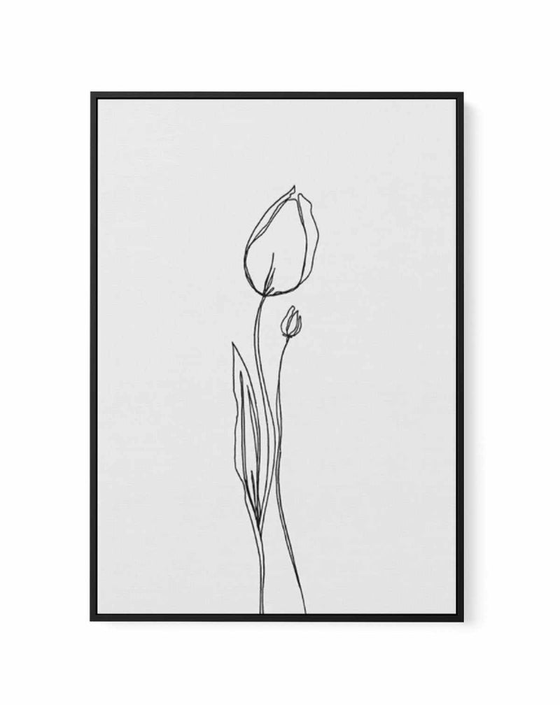 Tulip II | Illustration | Framed Canvas-CANVAS-You can shop wall art online with Olive et Oriel for everything from abstract art to fun kids wall art. Our beautiful modern art prints and canvas art are available from large canvas prints to wall art paintings and our proudly Australian artwork collection offers only the highest quality framed large wall art and canvas art Australia - You can buy fashion photography prints or Hampton print posters and paintings on canvas from Olive et Oriel and ha