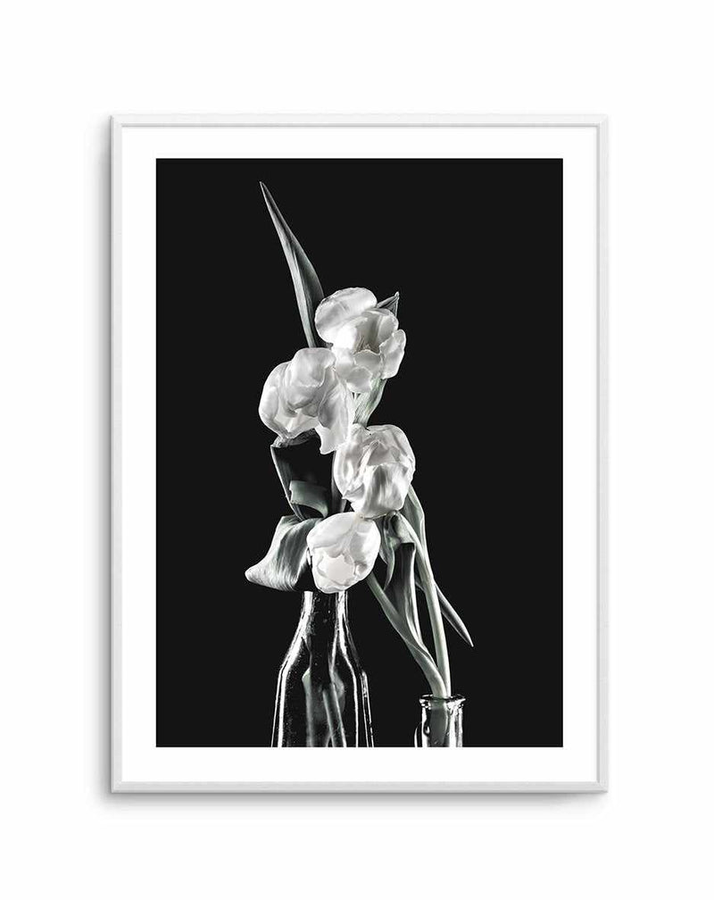 Tulips on Black II Art Print-PRINT-Olive et Oriel-Olive et Oriel-A5 | 5.8" x 8.3" | 14.8 x 21cm-Unframed Art Print-With White Border-Buy-Australian-Art-Prints-Online-with-Olive-et-Oriel-Your-Artwork-Specialists-Austrailia-Decorate-With-Coastal-Photo-Wall-Art-Prints-From-Our-Beach-House-Artwork-Collection-Fine-Poster-and-Framed-Artwork