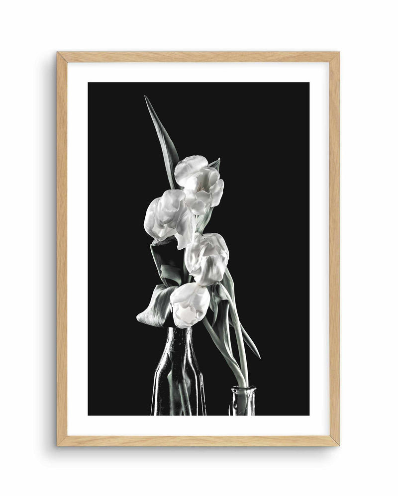 Tulips on Black II Art Print-PRINT-Olive et Oriel-Olive et Oriel-A5 | 5.8" x 8.3" | 14.8 x 21cm-Oak-With White Border-Buy-Australian-Art-Prints-Online-with-Olive-et-Oriel-Your-Artwork-Specialists-Austrailia-Decorate-With-Coastal-Photo-Wall-Art-Prints-From-Our-Beach-House-Artwork-Collection-Fine-Poster-and-Framed-Artwork