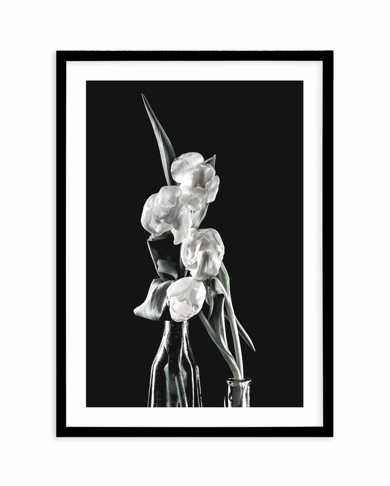 Tulips on Black II Art Print-PRINT-Olive et Oriel-Olive et Oriel-A5 | 5.8" x 8.3" | 14.8 x 21cm-Black-With White Border-Buy-Australian-Art-Prints-Online-with-Olive-et-Oriel-Your-Artwork-Specialists-Austrailia-Decorate-With-Coastal-Photo-Wall-Art-Prints-From-Our-Beach-House-Artwork-Collection-Fine-Poster-and-Framed-Artwork