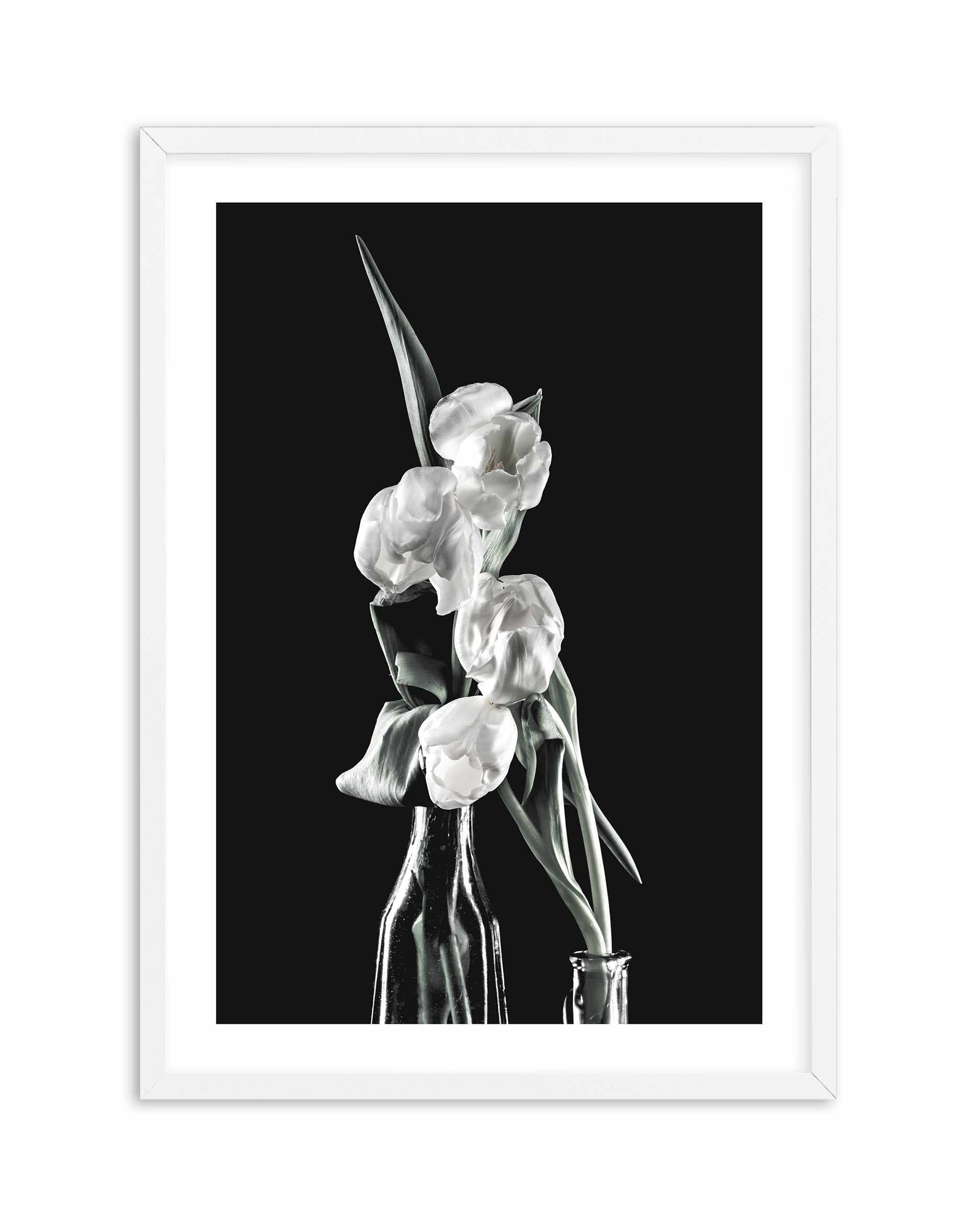 Tulips on Black II Art Print-PRINT-Olive et Oriel-Olive et Oriel-A5 | 5.8" x 8.3" | 14.8 x 21cm-White-With White Border-Buy-Australian-Art-Prints-Online-with-Olive-et-Oriel-Your-Artwork-Specialists-Austrailia-Decorate-With-Coastal-Photo-Wall-Art-Prints-From-Our-Beach-House-Artwork-Collection-Fine-Poster-and-Framed-Artwork