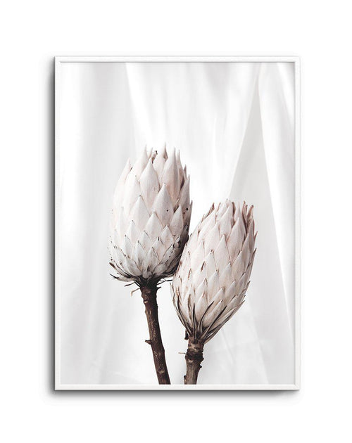 Twin Protea Art Print-PRINT-Olive et Oriel-Olive et Oriel-A5 | 5.8" x 8.3" | 14.8 x 21cm-Unframed Art Print-With White Border-Buy-Australian-Art-Prints-Online-with-Olive-et-Oriel-Your-Artwork-Specialists-Austrailia-Decorate-With-Coastal-Photo-Wall-Art-Prints-From-Our-Beach-House-Artwork-Collection-Fine-Poster-and-Framed-Artwork