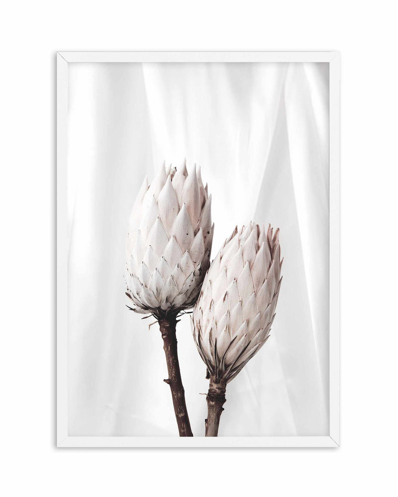 Twin Protea Art Print-PRINT-Olive et Oriel-Olive et Oriel-A5 | 5.8" x 8.3" | 14.8 x 21cm-White-With White Border-Buy-Australian-Art-Prints-Online-with-Olive-et-Oriel-Your-Artwork-Specialists-Austrailia-Decorate-With-Coastal-Photo-Wall-Art-Prints-From-Our-Beach-House-Artwork-Collection-Fine-Poster-and-Framed-Artwork