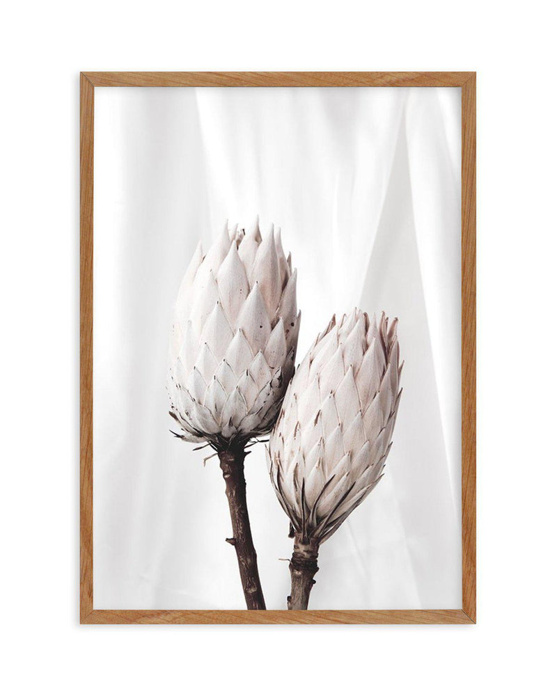 Twin Protea Art Print-PRINT-Olive et Oriel-Olive et Oriel-50x70 cm | 19.6" x 27.5"-Walnut-With White Border-Buy-Australian-Art-Prints-Online-with-Olive-et-Oriel-Your-Artwork-Specialists-Austrailia-Decorate-With-Coastal-Photo-Wall-Art-Prints-From-Our-Beach-House-Artwork-Collection-Fine-Poster-and-Framed-Artwork