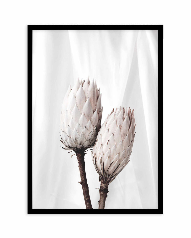 Twin Protea Art Print-PRINT-Olive et Oriel-Olive et Oriel-A5 | 5.8" x 8.3" | 14.8 x 21cm-Black-With White Border-Buy-Australian-Art-Prints-Online-with-Olive-et-Oriel-Your-Artwork-Specialists-Austrailia-Decorate-With-Coastal-Photo-Wall-Art-Prints-From-Our-Beach-House-Artwork-Collection-Fine-Poster-and-Framed-Artwork