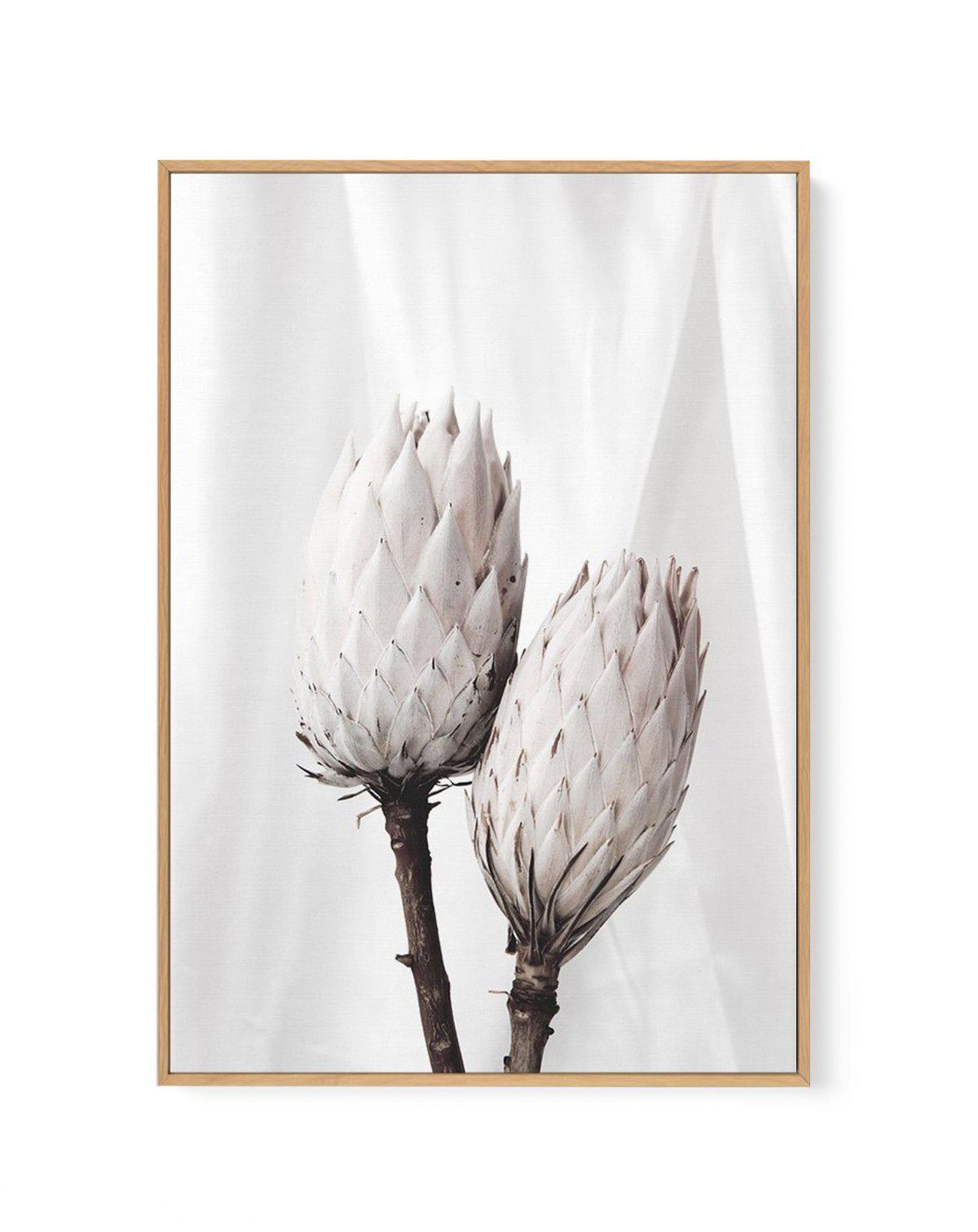 Twin Protea | Framed Canvas-CANVAS-You can shop wall art online with Olive et Oriel for everything from abstract art to fun kids wall art. Our beautiful modern art prints and canvas art are available from large canvas prints to wall art paintings and our proudly Australian artwork collection offers only the highest quality framed large wall art and canvas art Australia - You can buy fashion photography prints or Hampton print posters and paintings on canvas from Olive et Oriel and have them deli