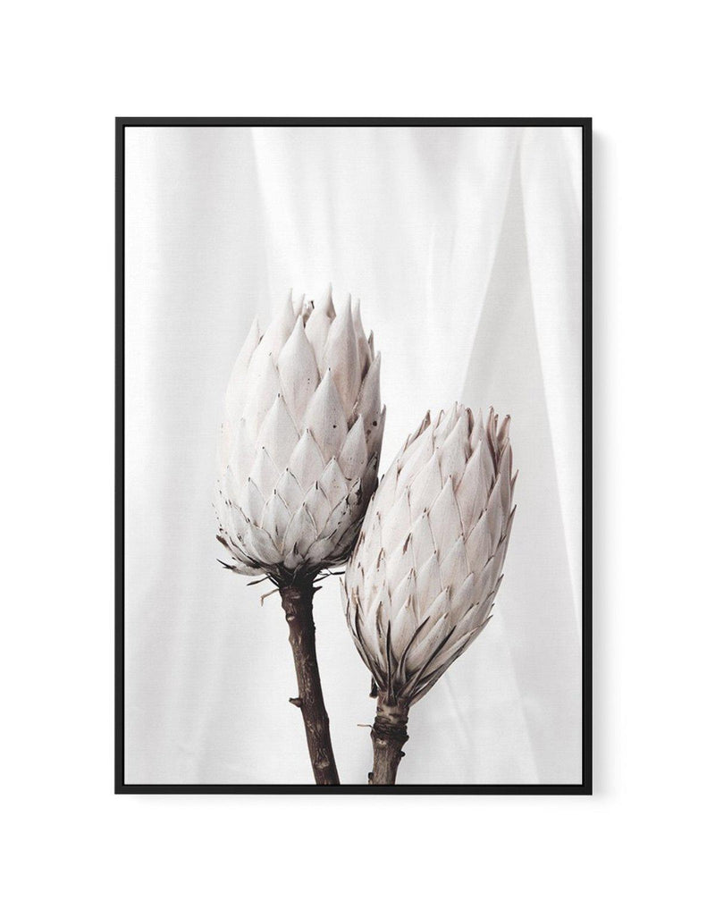 Twin Protea | Framed Canvas-CANVAS-You can shop wall art online with Olive et Oriel for everything from abstract art to fun kids wall art. Our beautiful modern art prints and canvas art are available from large canvas prints to wall art paintings and our proudly Australian artwork collection offers only the highest quality framed large wall art and canvas art Australia - You can buy fashion photography prints or Hampton print posters and paintings on canvas from Olive et Oriel and have them deli