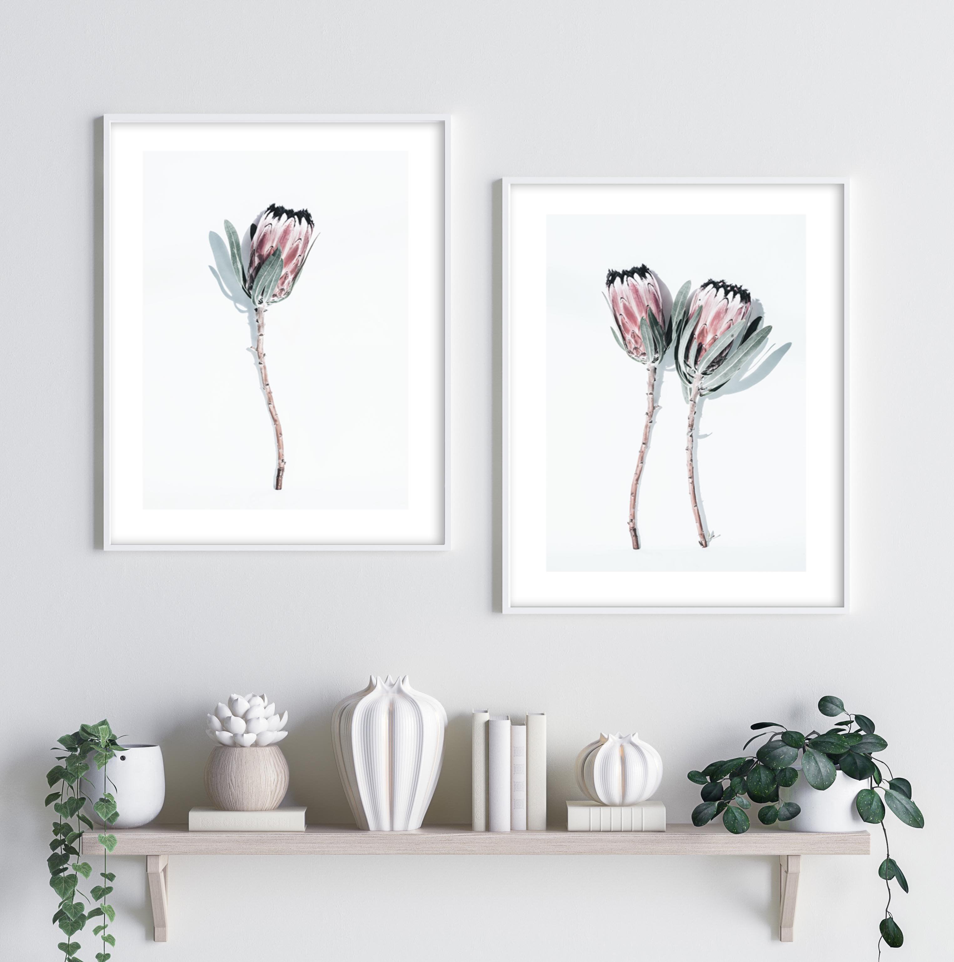 Two Of A Kind Art Print-PRINT-Olive et Oriel-Olive et Oriel-Buy-Australian-Art-Prints-Online-with-Olive-et-Oriel-Your-Artwork-Specialists-Austrailia-Decorate-With-Coastal-Photo-Wall-Art-Prints-From-Our-Beach-House-Artwork-Collection-Fine-Poster-and-Framed-Artwork