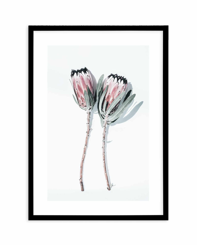 Two Of A Kind Art Print-PRINT-Olive et Oriel-Olive et Oriel-A5 | 5.8" x 8.3" | 14.8 x 21cm-Black-With White Border-Buy-Australian-Art-Prints-Online-with-Olive-et-Oriel-Your-Artwork-Specialists-Austrailia-Decorate-With-Coastal-Photo-Wall-Art-Prints-From-Our-Beach-House-Artwork-Collection-Fine-Poster-and-Framed-Artwork