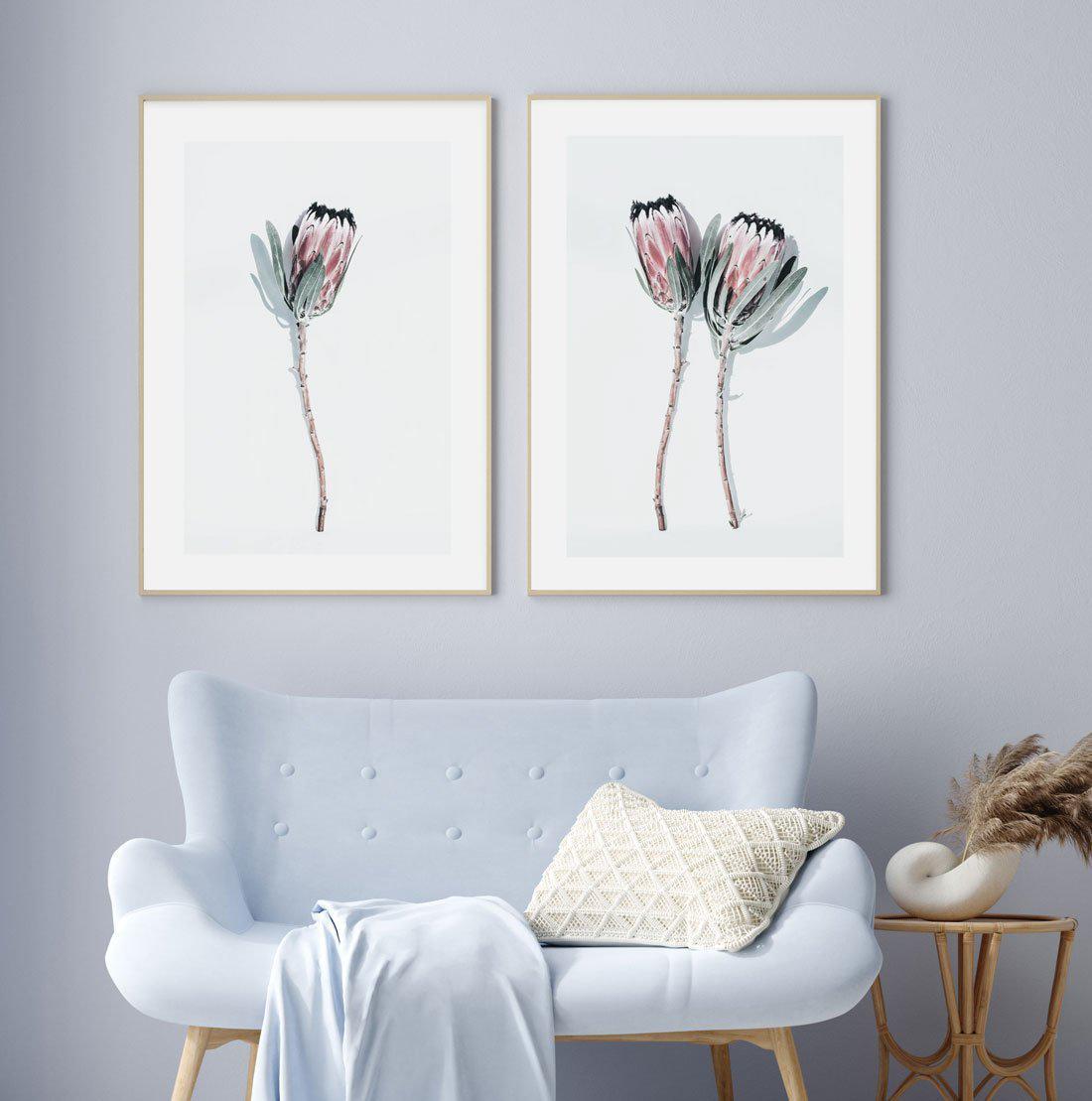 Two Of A Kind Art Print-PRINT-Olive et Oriel-Olive et Oriel-Buy-Australian-Art-Prints-Online-with-Olive-et-Oriel-Your-Artwork-Specialists-Austrailia-Decorate-With-Coastal-Photo-Wall-Art-Prints-From-Our-Beach-House-Artwork-Collection-Fine-Poster-and-Framed-Artwork