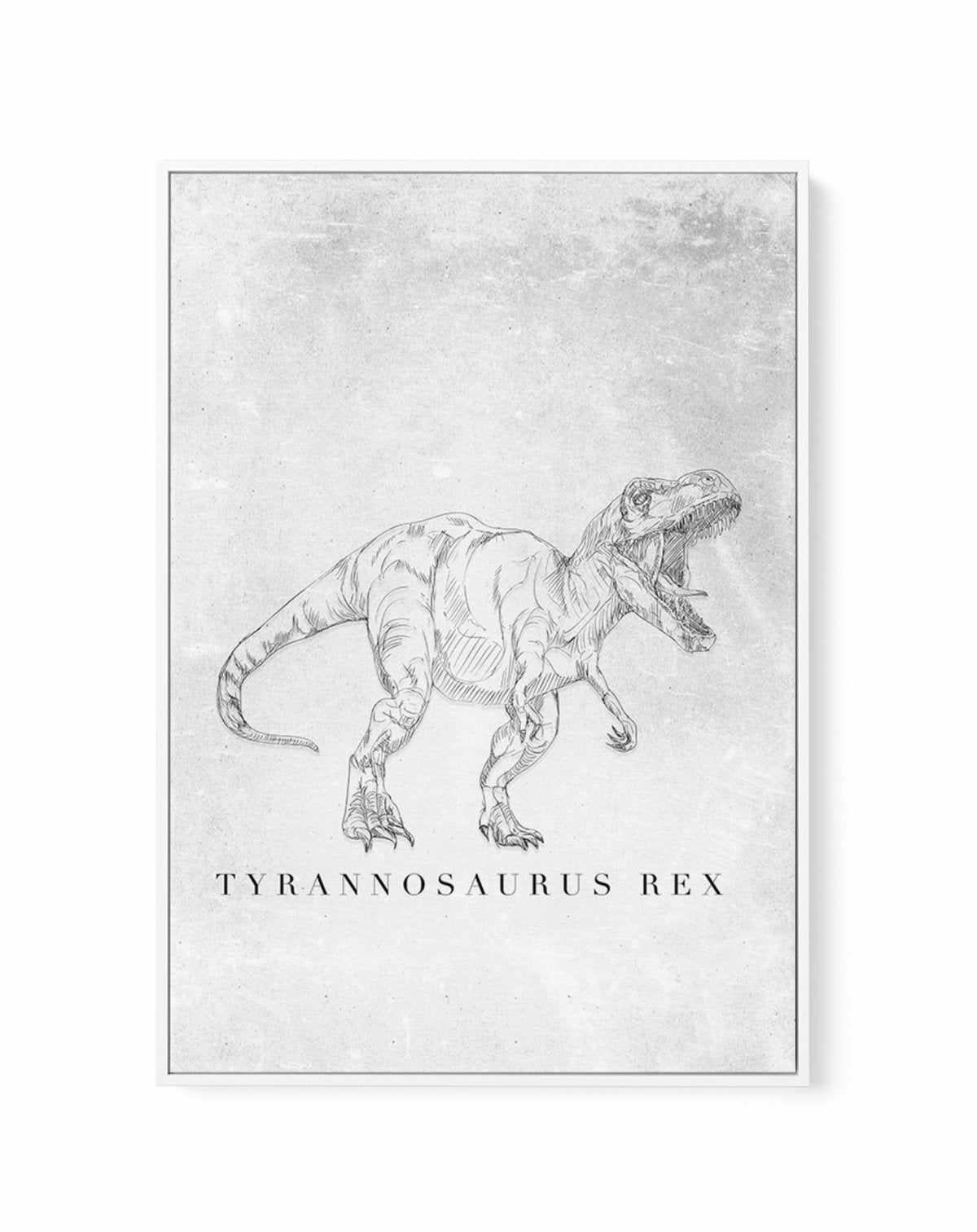 Tyrannosaurus Rex PT | Dinosaur Collection | Framed Canvas-CANVAS-You can shop wall art online with Olive et Oriel for everything from abstract art to fun kids wall art. Our beautiful modern art prints and canvas art are available from large canvas prints to wall art paintings and our proudly Australian artwork collection offers only the highest quality framed large wall art and canvas art Australia - You can buy fashion photography prints or Hampton print posters and paintings on canvas from Ol