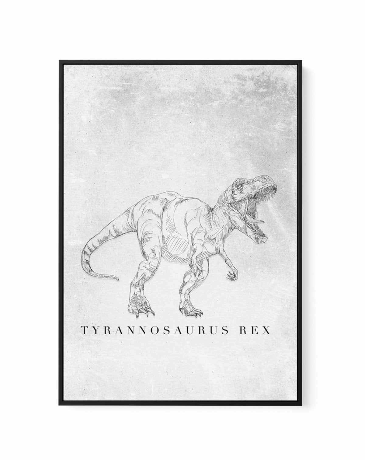 Tyrannosaurus Rex PT | Dinosaur Collection | Framed Canvas-CANVAS-You can shop wall art online with Olive et Oriel for everything from abstract art to fun kids wall art. Our beautiful modern art prints and canvas art are available from large canvas prints to wall art paintings and our proudly Australian artwork collection offers only the highest quality framed large wall art and canvas art Australia - You can buy fashion photography prints or Hampton print posters and paintings on canvas from Ol