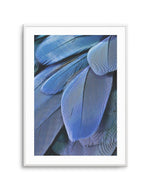 Ultra Violet Feather I Art Print-PRINT-Olive et Oriel-Olive et Oriel-A4 | 8.3" x 11.7" | 21 x 29.7cm-Unframed Art Print-With White Border-Buy-Australian-Art-Prints-Online-with-Olive-et-Oriel-Your-Artwork-Specialists-Austrailia-Decorate-With-Coastal-Photo-Wall-Art-Prints-From-Our-Beach-House-Artwork-Collection-Fine-Poster-and-Framed-Artwork