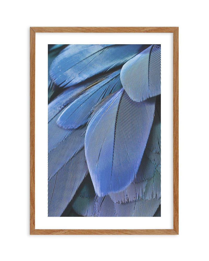 Ultra Violet Feather I Art Print-PRINT-Olive et Oriel-Olive et Oriel-50x70 cm | 19.6" x 27.5"-Walnut-With White Border-Buy-Australian-Art-Prints-Online-with-Olive-et-Oriel-Your-Artwork-Specialists-Austrailia-Decorate-With-Coastal-Photo-Wall-Art-Prints-From-Our-Beach-House-Artwork-Collection-Fine-Poster-and-Framed-Artwork