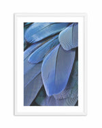 Ultra Violet Feather I Art Print-PRINT-Olive et Oriel-Olive et Oriel-A4 | 8.3" x 11.7" | 21 x 29.7cm-White-With White Border-Buy-Australian-Art-Prints-Online-with-Olive-et-Oriel-Your-Artwork-Specialists-Austrailia-Decorate-With-Coastal-Photo-Wall-Art-Prints-From-Our-Beach-House-Artwork-Collection-Fine-Poster-and-Framed-Artwork