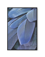 Ultra Violet Feather I | Framed Canvas-CANVAS-You can shop wall art online with Olive et Oriel for everything from abstract art to fun kids wall art. Our beautiful modern art prints and canvas art are available from large canvas prints to wall art paintings and our proudly Australian artwork collection offers only the highest quality framed large wall art and canvas art Australia - You can buy fashion photography prints or Hampton print posters and paintings on canvas from Olive et Oriel and hav