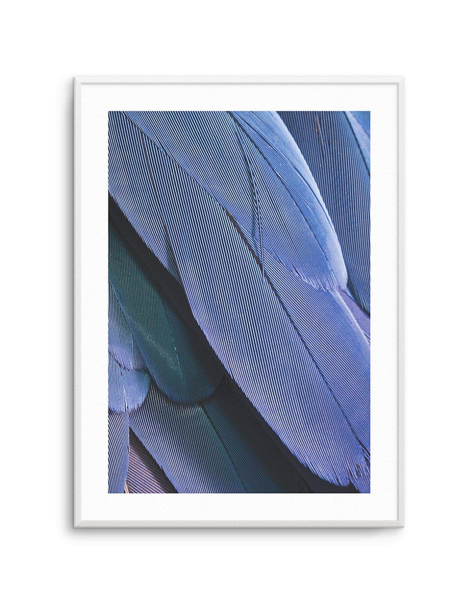 Ultra Violet Feather II Art Print-PRINT-Olive et Oriel-Olive et Oriel-A4 | 8.3" x 11.7" | 21 x 29.7cm-Unframed Art Print-With White Border-Buy-Australian-Art-Prints-Online-with-Olive-et-Oriel-Your-Artwork-Specialists-Austrailia-Decorate-With-Coastal-Photo-Wall-Art-Prints-From-Our-Beach-House-Artwork-Collection-Fine-Poster-and-Framed-Artwork