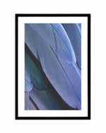 Ultra Violet Feather II Art Print-PRINT-Olive et Oriel-Olive et Oriel-A4 | 8.3" x 11.7" | 21 x 29.7cm-Black-With White Border-Buy-Australian-Art-Prints-Online-with-Olive-et-Oriel-Your-Artwork-Specialists-Austrailia-Decorate-With-Coastal-Photo-Wall-Art-Prints-From-Our-Beach-House-Artwork-Collection-Fine-Poster-and-Framed-Artwork