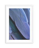 Ultra Violet Feather II Art Print-PRINT-Olive et Oriel-Olive et Oriel-A4 | 8.3" x 11.7" | 21 x 29.7cm-White-With White Border-Buy-Australian-Art-Prints-Online-with-Olive-et-Oriel-Your-Artwork-Specialists-Austrailia-Decorate-With-Coastal-Photo-Wall-Art-Prints-From-Our-Beach-House-Artwork-Collection-Fine-Poster-and-Framed-Artwork