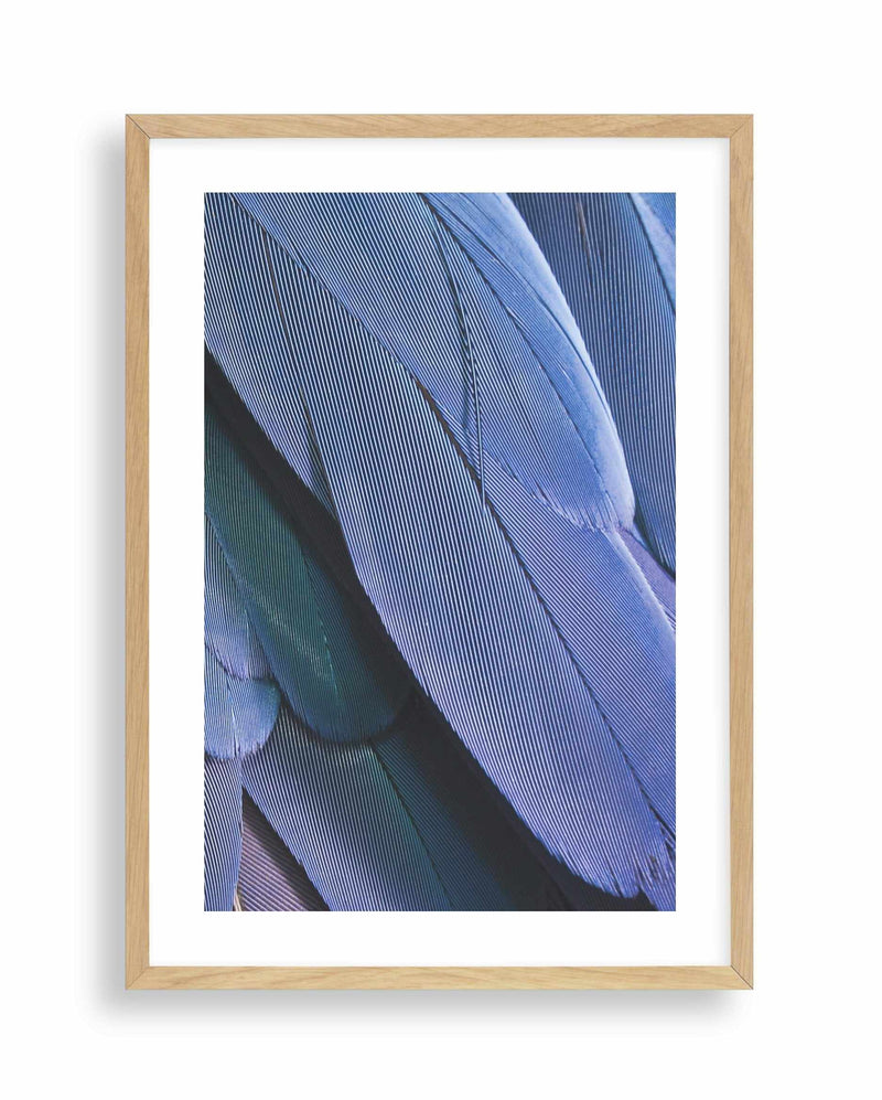Ultra Violet Feather II Art Print-PRINT-Olive et Oriel-Olive et Oriel-A4 | 8.3" x 11.7" | 21 x 29.7cm-Oak-With White Border-Buy-Australian-Art-Prints-Online-with-Olive-et-Oriel-Your-Artwork-Specialists-Austrailia-Decorate-With-Coastal-Photo-Wall-Art-Prints-From-Our-Beach-House-Artwork-Collection-Fine-Poster-and-Framed-Artwork
