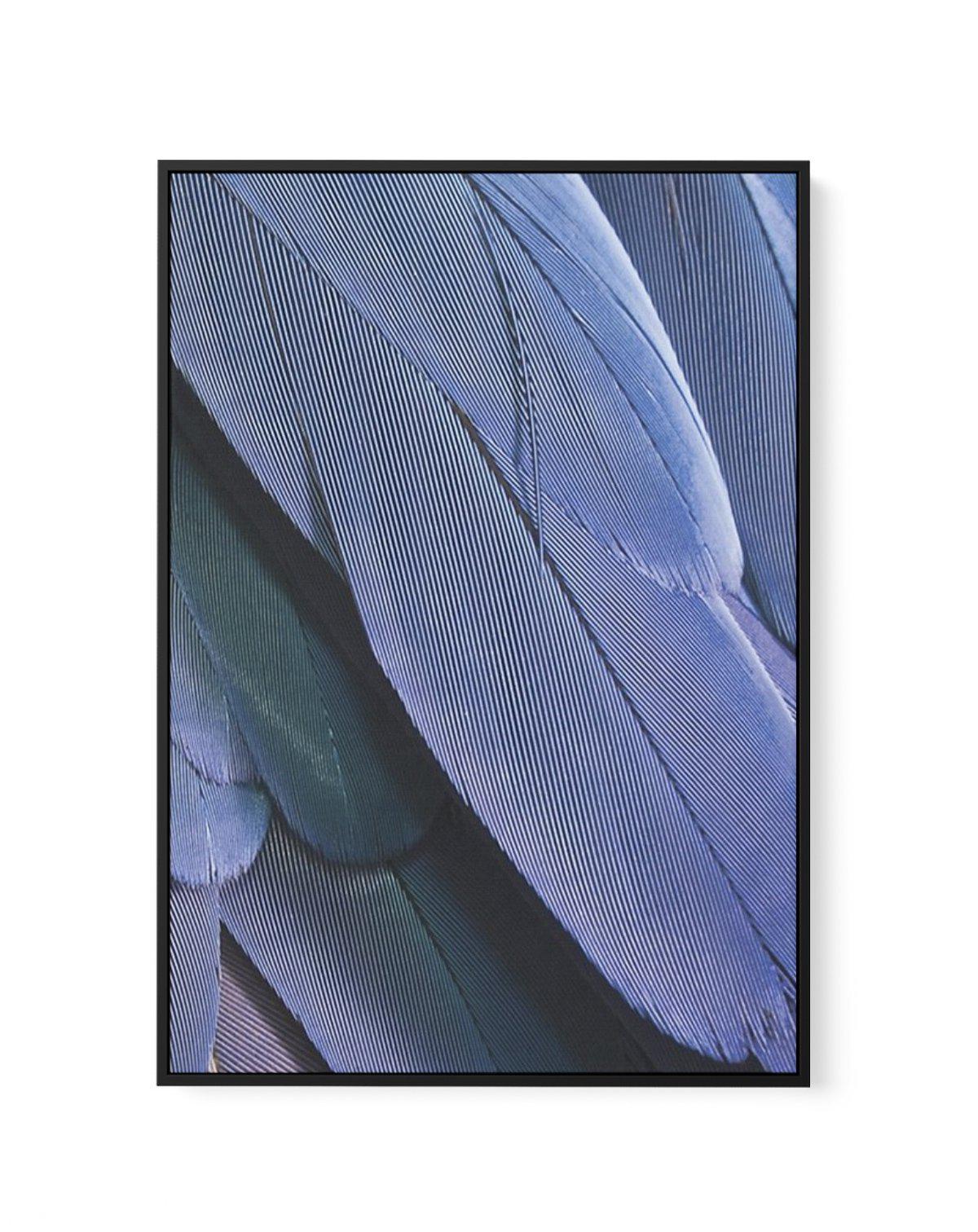 Ultra Violet Feather II | Framed Canvas-CANVAS-You can shop wall art online with Olive et Oriel for everything from abstract art to fun kids wall art. Our beautiful modern art prints and canvas art are available from large canvas prints to wall art paintings and our proudly Australian artwork collection offers only the highest quality framed large wall art and canvas art Australia - You can buy fashion photography prints or Hampton print posters and paintings on canvas from Olive et Oriel and ha