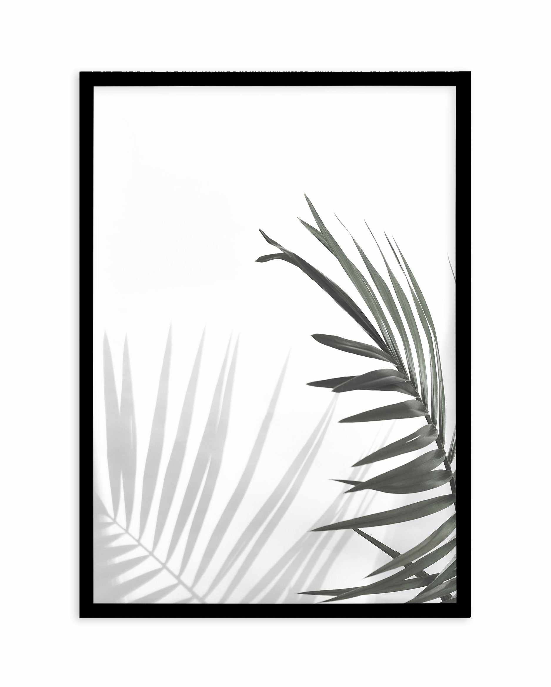 Under The Palm Art Print-PRINT-Olive et Oriel-Olive et Oriel-A5 | 5.8" x 8.3" | 14.8 x 21cm-Black-With White Border-Buy-Australian-Art-Prints-Online-with-Olive-et-Oriel-Your-Artwork-Specialists-Austrailia-Decorate-With-Coastal-Photo-Wall-Art-Prints-From-Our-Beach-House-Artwork-Collection-Fine-Poster-and-Framed-Artwork