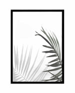 Under The Palm Art Print-PRINT-Olive et Oriel-Olive et Oriel-A5 | 5.8" x 8.3" | 14.8 x 21cm-Black-With White Border-Buy-Australian-Art-Prints-Online-with-Olive-et-Oriel-Your-Artwork-Specialists-Austrailia-Decorate-With-Coastal-Photo-Wall-Art-Prints-From-Our-Beach-House-Artwork-Collection-Fine-Poster-and-Framed-Artwork