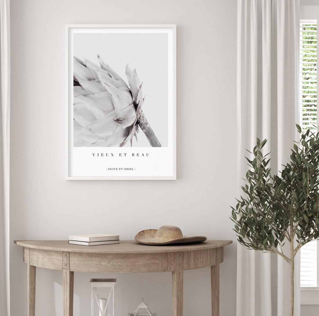 Vieux Et Beau | King Protea Art Print-PRINT-Olive et Oriel-Olive et Oriel-Buy-Australian-Art-Prints-Online-with-Olive-et-Oriel-Your-Artwork-Specialists-Austrailia-Decorate-With-Coastal-Photo-Wall-Art-Prints-From-Our-Beach-House-Artwork-Collection-Fine-Poster-and-Framed-Artwork