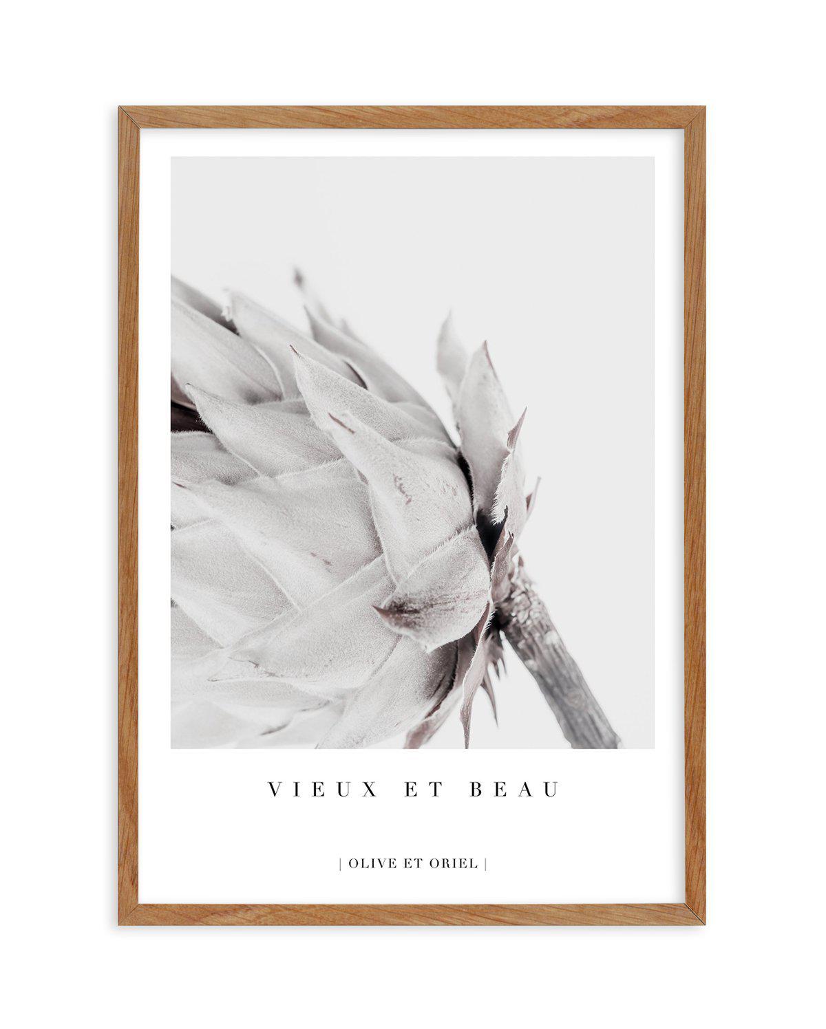 Vieux Et Beau | King Protea Art Print-PRINT-Olive et Oriel-Olive et Oriel-50x70 cm | 19.6" x 27.5"-Walnut-With White Border-Buy-Australian-Art-Prints-Online-with-Olive-et-Oriel-Your-Artwork-Specialists-Austrailia-Decorate-With-Coastal-Photo-Wall-Art-Prints-From-Our-Beach-House-Artwork-Collection-Fine-Poster-and-Framed-Artwork