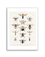 Vintage Bee Chart Art Print-PRINT-Olive et Oriel-Olive et Oriel-A5 | 5.8" x 8.3" | 14.8 x 21cm-Unframed Art Print-With White Border-Buy-Australian-Art-Prints-Online-with-Olive-et-Oriel-Your-Artwork-Specialists-Austrailia-Decorate-With-Coastal-Photo-Wall-Art-Prints-From-Our-Beach-House-Artwork-Collection-Fine-Poster-and-Framed-Artwork