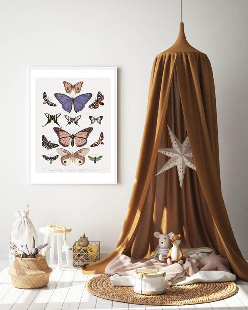 Vintage Butterfly Chart Art Print-PRINT-Olive et Oriel-Olive et Oriel-Buy-Australian-Art-Prints-Online-with-Olive-et-Oriel-Your-Artwork-Specialists-Austrailia-Decorate-With-Coastal-Photo-Wall-Art-Prints-From-Our-Beach-House-Artwork-Collection-Fine-Poster-and-Framed-Artwork