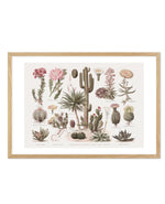 Vintage Cactus Chart Art Print-PRINT-Olive et Oriel-Olive et Oriel-A5 | 5.8" x 8.3" | 14.8 x 21cm-Oak-With White Border-Buy-Australian-Art-Prints-Online-with-Olive-et-Oriel-Your-Artwork-Specialists-Austrailia-Decorate-With-Coastal-Photo-Wall-Art-Prints-From-Our-Beach-House-Artwork-Collection-Fine-Poster-and-Framed-Artwork