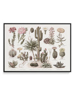 Vintage Cactus Chart | Framed Canvas-CANVAS-You can shop wall art online with Olive et Oriel for everything from abstract art to fun kids wall art. Our beautiful modern art prints and canvas art are available from large canvas prints to wall art paintings and our proudly Australian artwork collection offers only the highest quality framed large wall art and canvas art Australia - You can buy fashion photography prints or Hampton print posters and paintings on canvas from Olive et Oriel and have 