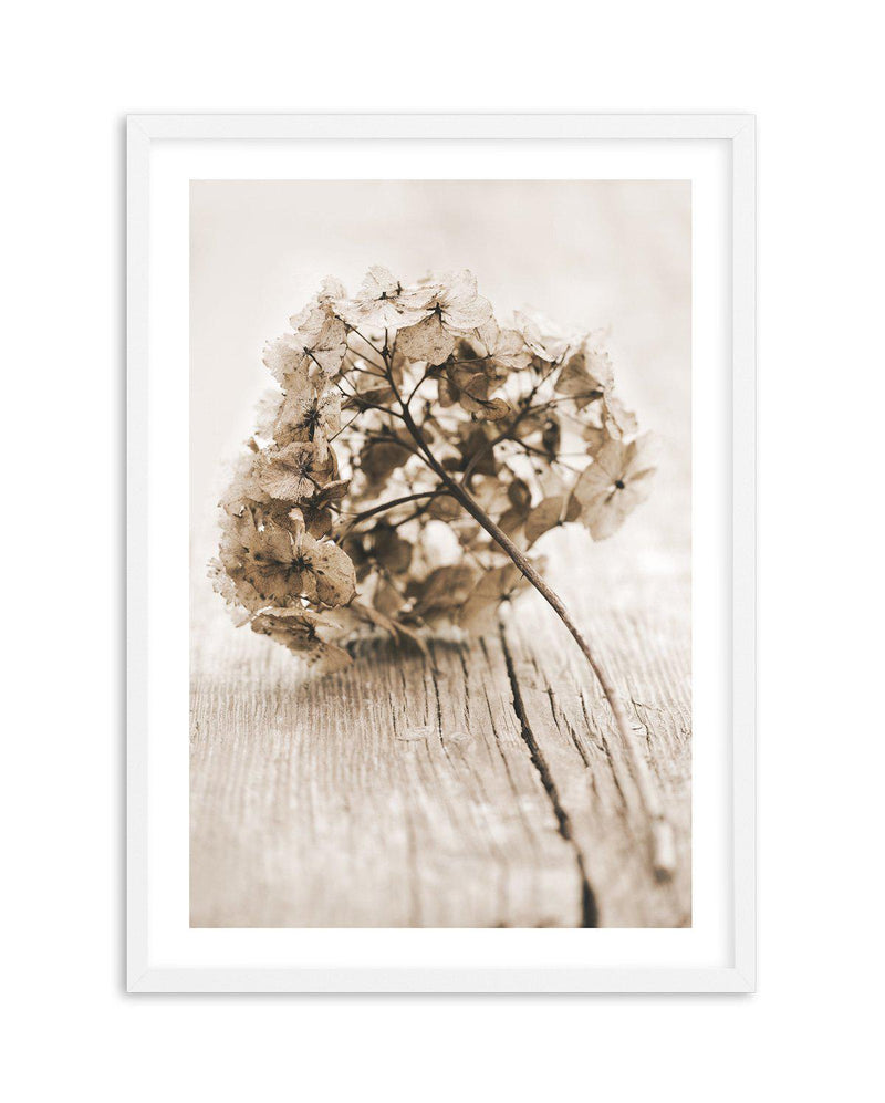 Vintage hydrangea Art Print-PRINT-Olive et Oriel-Olive et Oriel-A5 | 5.8" x 8.3" | 14.8 x 21cm-White-With White Border-Buy-Australian-Art-Prints-Online-with-Olive-et-Oriel-Your-Artwork-Specialists-Austrailia-Decorate-With-Coastal-Photo-Wall-Art-Prints-From-Our-Beach-House-Artwork-Collection-Fine-Poster-and-Framed-Artwork