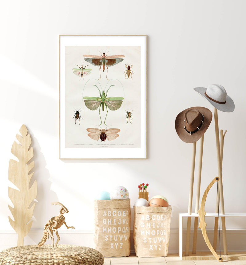 Vintage Insect Chart Art Print-PRINT-Olive et Oriel-Olive et Oriel-Buy-Australian-Art-Prints-Online-with-Olive-et-Oriel-Your-Artwork-Specialists-Austrailia-Decorate-With-Coastal-Photo-Wall-Art-Prints-From-Our-Beach-House-Artwork-Collection-Fine-Poster-and-Framed-Artwork