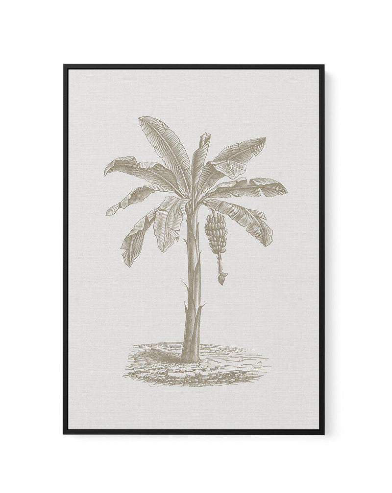 Vintage Palm II | Framed Canvas-CANVAS-You can shop wall art online with Olive et Oriel for everything from abstract art to fun kids wall art. Our beautiful modern art prints and canvas art are available from large canvas prints to wall art paintings and our proudly Australian artwork collection offers only the highest quality framed large wall art and canvas art Australia - You can buy fashion photography prints or Hampton print posters and paintings on canvas from Olive et Oriel and have them 