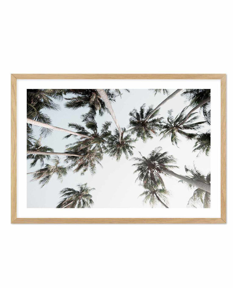 Vintage Palms LS Art Print-PRINT-Olive et Oriel-Olive et Oriel-A5 | 5.8" x 8.3" | 14.8 x 21cm-Oak-With White Border-Buy-Australian-Art-Prints-Online-with-Olive-et-Oriel-Your-Artwork-Specialists-Austrailia-Decorate-With-Coastal-Photo-Wall-Art-Prints-From-Our-Beach-House-Artwork-Collection-Fine-Poster-and-Framed-Artwork
