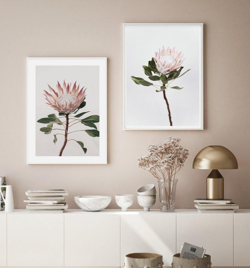 Vintage Protea Art Print-PRINT-Olive et Oriel-Olive et Oriel-Buy-Australian-Art-Prints-Online-with-Olive-et-Oriel-Your-Artwork-Specialists-Austrailia-Decorate-With-Coastal-Photo-Wall-Art-Prints-From-Our-Beach-House-Artwork-Collection-Fine-Poster-and-Framed-Artwork