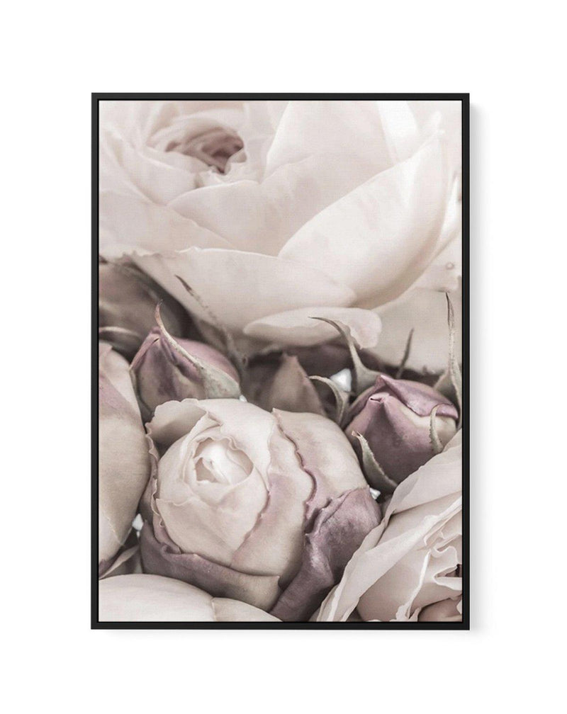 Vintage Roses I | Framed Canvas-CANVAS-You can shop wall art online with Olive et Oriel for everything from abstract art to fun kids wall art. Our beautiful modern art prints and canvas art are available from large canvas prints to wall art paintings and our proudly Australian artwork collection offers only the highest quality framed large wall art and canvas art Australia - You can buy fashion photography prints or Hampton print posters and paintings on canvas from Olive et Oriel and have them 