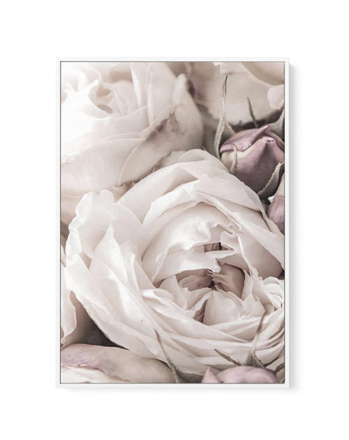 Vintage Roses II | Framed Canvas-CANVAS-You can shop wall art online with Olive et Oriel for everything from abstract art to fun kids wall art. Our beautiful modern art prints and canvas art are available from large canvas prints to wall art paintings and our proudly Australian artwork collection offers only the highest quality framed large wall art and canvas art Australia - You can buy fashion photography prints or Hampton print posters and paintings on canvas from Olive et Oriel and have them
