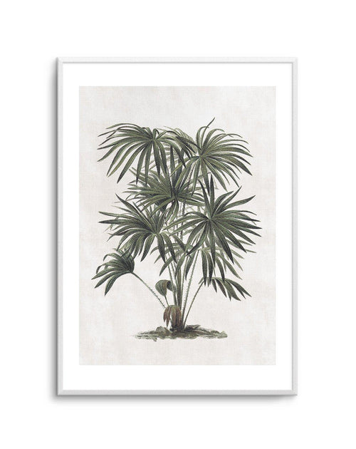 Vintage Tropics I Art Print-PRINT-Olive et Oriel-Olive et Oriel-A5 | 5.8" x 8.3" | 14.8 x 21cm-Unframed Art Print-With White Border-Buy-Australian-Art-Prints-Online-with-Olive-et-Oriel-Your-Artwork-Specialists-Austrailia-Decorate-With-Coastal-Photo-Wall-Art-Prints-From-Our-Beach-House-Artwork-Collection-Fine-Poster-and-Framed-Artwork