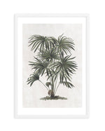Vintage Tropics I Art Print-PRINT-Olive et Oriel-Olive et Oriel-A5 | 5.8" x 8.3" | 14.8 x 21cm-White-With White Border-Buy-Australian-Art-Prints-Online-with-Olive-et-Oriel-Your-Artwork-Specialists-Austrailia-Decorate-With-Coastal-Photo-Wall-Art-Prints-From-Our-Beach-House-Artwork-Collection-Fine-Poster-and-Framed-Artwork