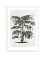 Vintage Tropics II Art Print-PRINT-Olive et Oriel-Olive et Oriel-A5 | 5.8" x 8.3" | 14.8 x 21cm-White-With White Border-Buy-Australian-Art-Prints-Online-with-Olive-et-Oriel-Your-Artwork-Specialists-Austrailia-Decorate-With-Coastal-Photo-Wall-Art-Prints-From-Our-Beach-House-Artwork-Collection-Fine-Poster-and-Framed-Artwork