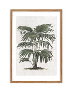Vintage Tropics II Art Print-PRINT-Olive et Oriel-Olive et Oriel-50x70 cm | 19.6" x 27.5"-Walnut-With White Border-Buy-Australian-Art-Prints-Online-with-Olive-et-Oriel-Your-Artwork-Specialists-Austrailia-Decorate-With-Coastal-Photo-Wall-Art-Prints-From-Our-Beach-House-Artwork-Collection-Fine-Poster-and-Framed-Artwork