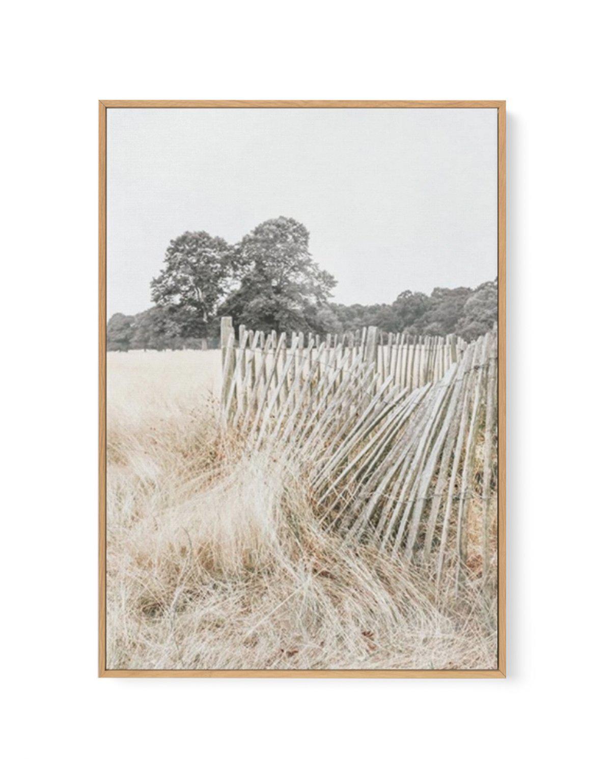 Walk in the Fields | Framed Canvas-CANVAS-You can shop wall art online with Olive et Oriel for everything from abstract art to fun kids wall art. Our beautiful modern art prints and canvas art are available from large canvas prints to wall art paintings and our proudly Australian artwork collection offers only the highest quality framed large wall art and canvas art Australia - You can buy fashion photography prints or Hampton print posters and paintings on canvas from Olive et Oriel and have th