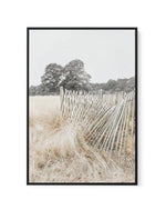 Walk in the Fields | Framed Canvas-CANVAS-You can shop wall art online with Olive et Oriel for everything from abstract art to fun kids wall art. Our beautiful modern art prints and canvas art are available from large canvas prints to wall art paintings and our proudly Australian artwork collection offers only the highest quality framed large wall art and canvas art Australia - You can buy fashion photography prints or Hampton print posters and paintings on canvas from Olive et Oriel and have th