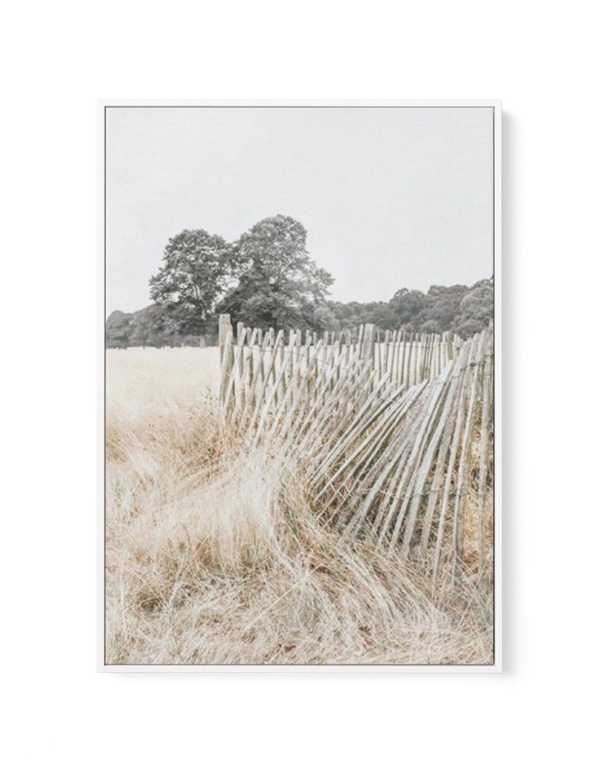 Walk in the Fields | Framed Canvas-CANVAS-You can shop wall art online with Olive et Oriel for everything from abstract art to fun kids wall art. Our beautiful modern art prints and canvas art are available from large canvas prints to wall art paintings and our proudly Australian artwork collection offers only the highest quality framed large wall art and canvas art Australia - You can buy fashion photography prints or Hampton print posters and paintings on canvas from Olive et Oriel and have th